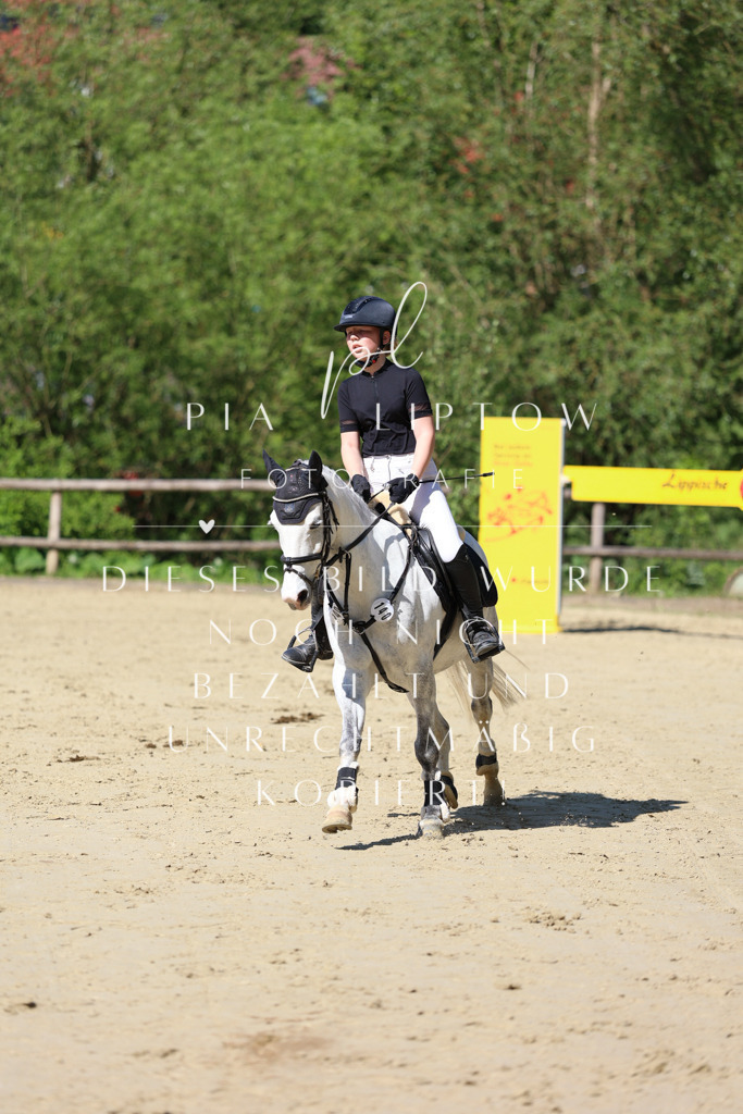 IMGS4616 | pl-fotografie