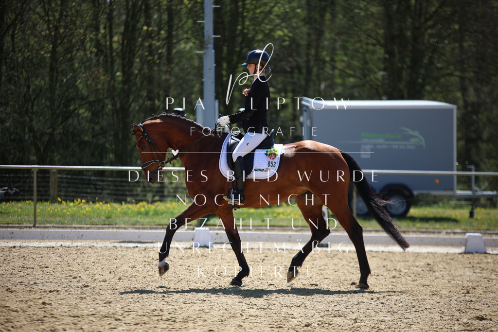 IMGT1234 | pl-fotografie