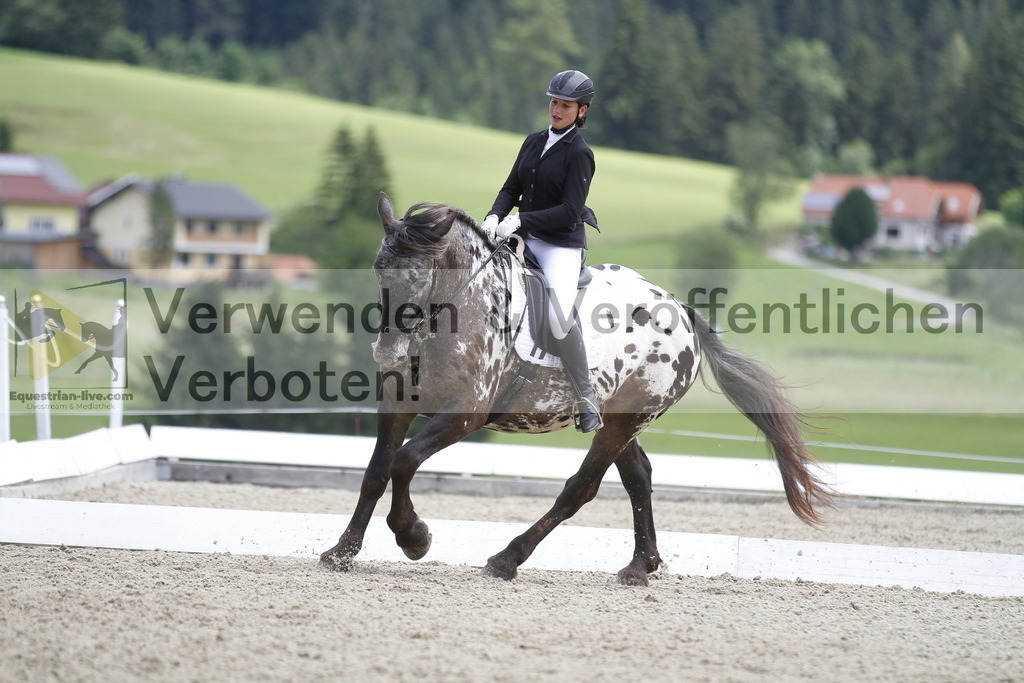 _MG_3867 | equestrian-live-com