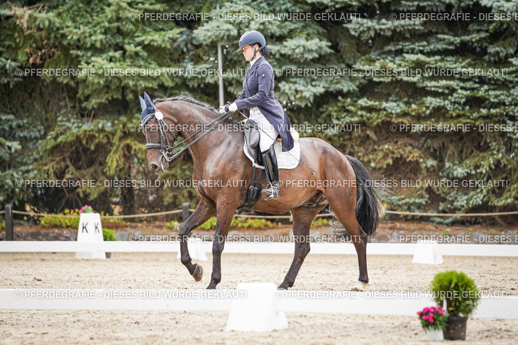 DSC07604 | Pferdegrafie