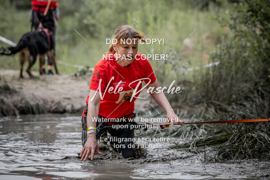 nelerasche_so0800-0930_310 | nelerasche