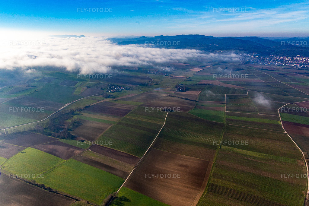 Luftbild: Elsass bis Schweigen unter Wolken im Ortsteil Deutschhof in Kapellen-Drusweiler im Bundesland Rheinland-Pfalz in Deutschland. Foto: IMG_145012.jpg vom 27.12.2024 durch Werner Riehm/FLY-FOTO.de
