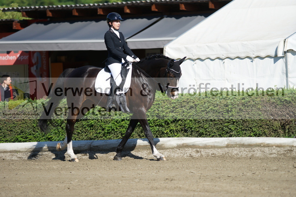 DSC04140 | equestrian-live-com