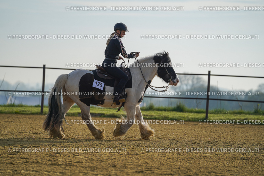 DSC00192 | Pferdegrafie