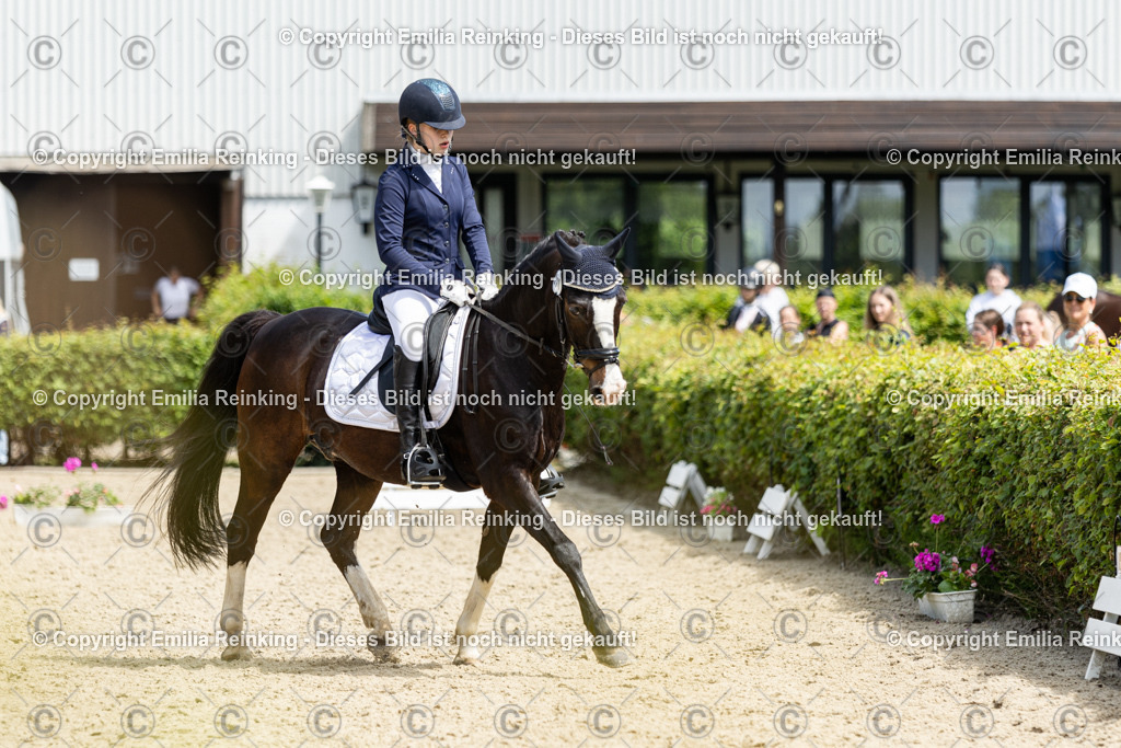 CL5A3121 | Emilia Reinking Fotografie - Realisiert mit Pictrs.com