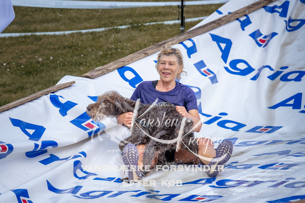 _ZZ916820917 | kk-dogfotos