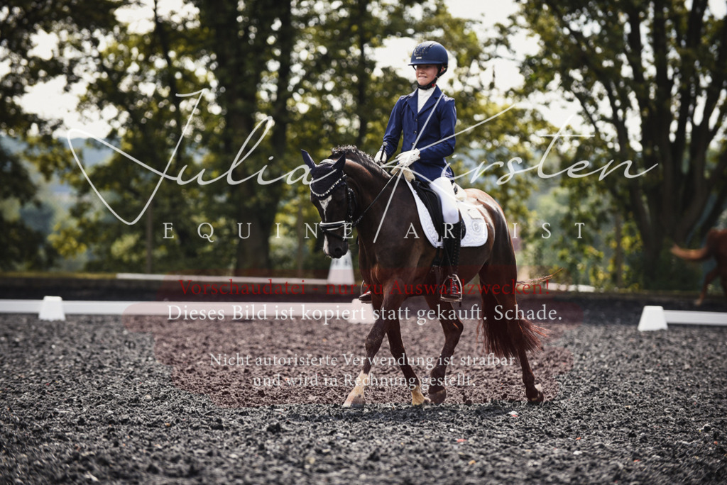 DSC_3865 | Pferde- und Turnierfotografie in Westsachsen. Pferdeportraits, Auftragszeichnungen und intuitive Kunst.
