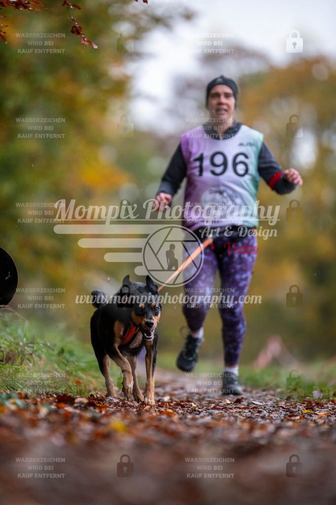 DBT_DAKM_SA_4_11_2023_Canicross-107 | PayLife