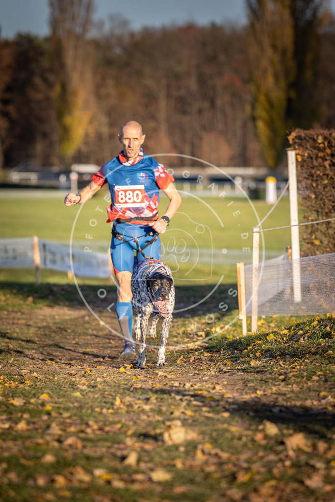 CaniXpix_DV3A4309 | Hundefotografie, Tierfotograf, Pfotenfotografie, Fotoshooting Hund, Hunde Portrait, Hundesport, Hundeportraits, Heideshooting, Hunde, Sportfotograf, Hundefotograf, Turnierhundsport, THS,  - Realisiert mit Pictrs.com