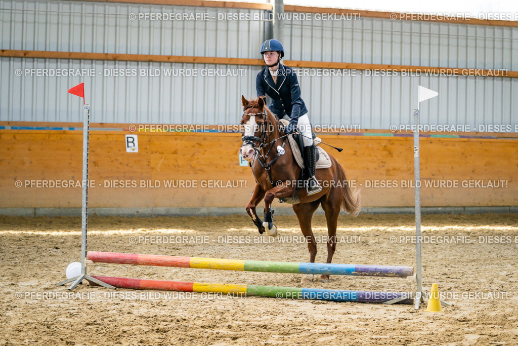 DSC02048 | Pferdegrafie