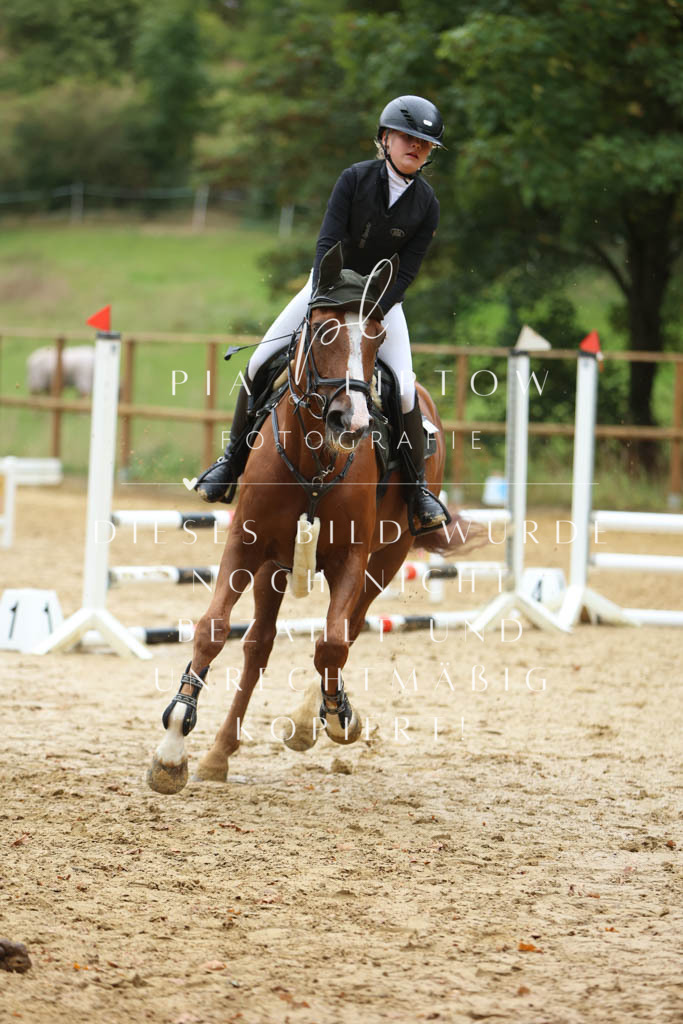 IMGM1605 | pl-fotografie