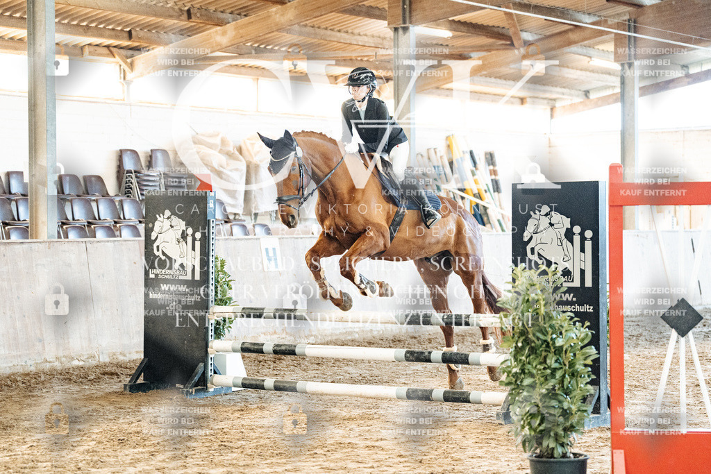 CK904074 | Turnierfotografie Pferdefotografie Trier Rheinland-Pfalz Pferdesport Reitsport Tierfotografie Sportfotografie Pferdevideo Pferdevideografie Equestrianvideography equestrianphotography  - Realized with Pictrs.com