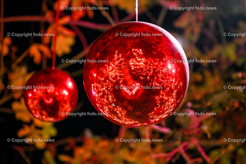 Weihnachtsmarkt_ Linz_ 22.11.2023-33 | 22.11.2023, Linz, AUT, Klosterhof, im Bild Winterzauber, Weihnachtsmarkt, Winterwald, Besucher, Tradition, Brauchtum, Beleuchtung, Tannen, Baume, Speisen, Getraenke