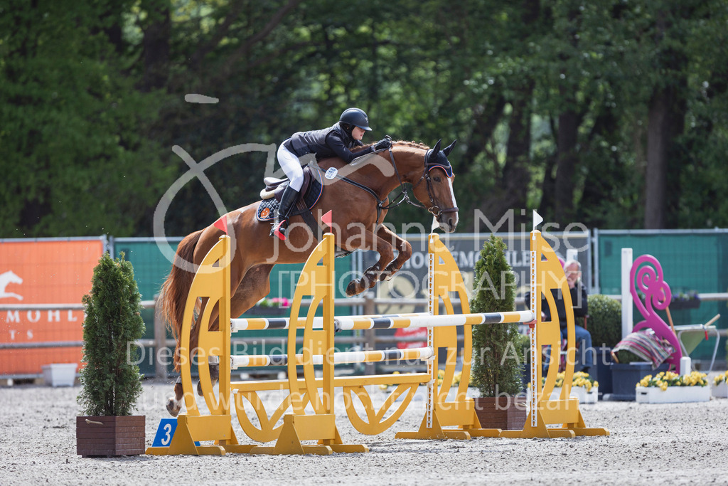 250506_Mühlen_SprPf-L1-366 | Deine schönsten Turniermomente als professionelle Fotos! Entdecke hochwertige Pferdesport-Fotografie im Online-Shop. Jetzt Fotos finden & bestellen!