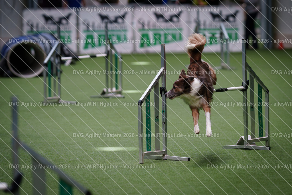 allesWIRTHgut_Tierfotografie-DVG_Agility_Masters_2026-09_40-7R502352 | Professionelle Tierfotografie in Mönchengladbach von Daniel Wirth (allesWIRTHgut). Liebevolle & natürliche Bilder von Hunden & Katzen für unvergessliche Erinnerungen.