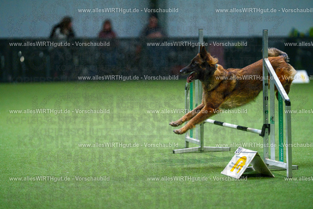 7R500942 | Professionelle Tierfotografie in Mönchengladbach von Daniel Wirth (allesWIRTHgut). Liebevolle & natürliche Bilder von Hunden & Katzen für unvergessliche Erinnerungen.