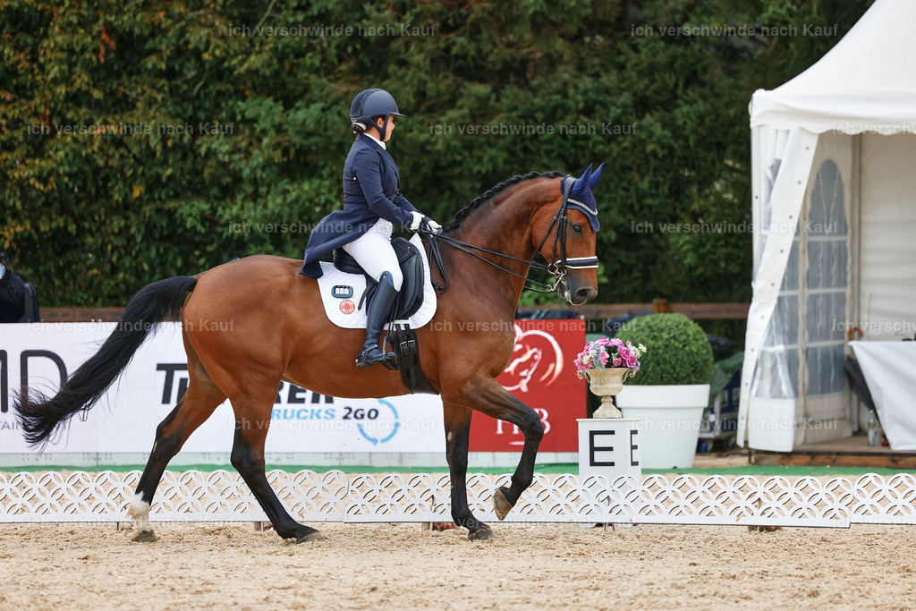 8_2-169-DRESSUR S_  -StoibPH-4426 | working equitationturnier fotograf videograf stoibphotography marixx film working equitation deutschland reitsport turnierfotografie eventfotografie equestrian events