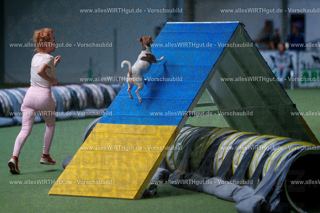 @allesWIRTHgut_Tierfotografie - www.allesWIRTHgut.de - 2604251255-7R503065 | Professionelle Tierfotografie in Mönchengladbach von Daniel Wirth (allesWIRTHgut). Liebevolle & natürliche Bilder von Hunden & Katzen für unvergessliche Erinnerungen.