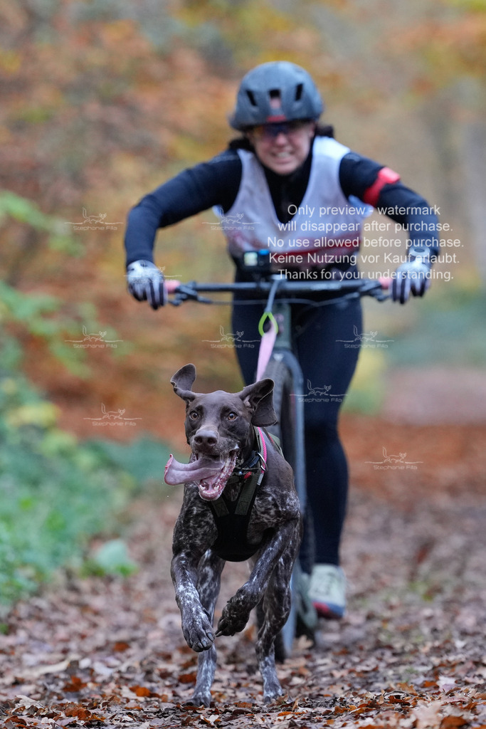 AusschnitteSo-67 | stephaniefillaphotographie - Realisiert mit Pictrs.com