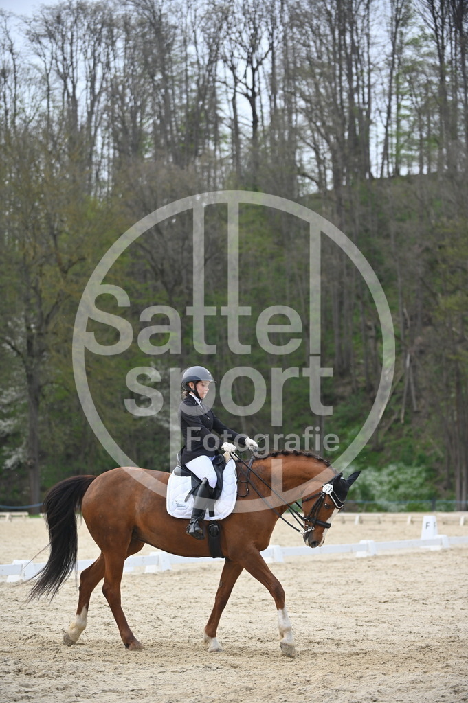 DSC_4841 | sattelsport - Realisiert mit Pictrs.com