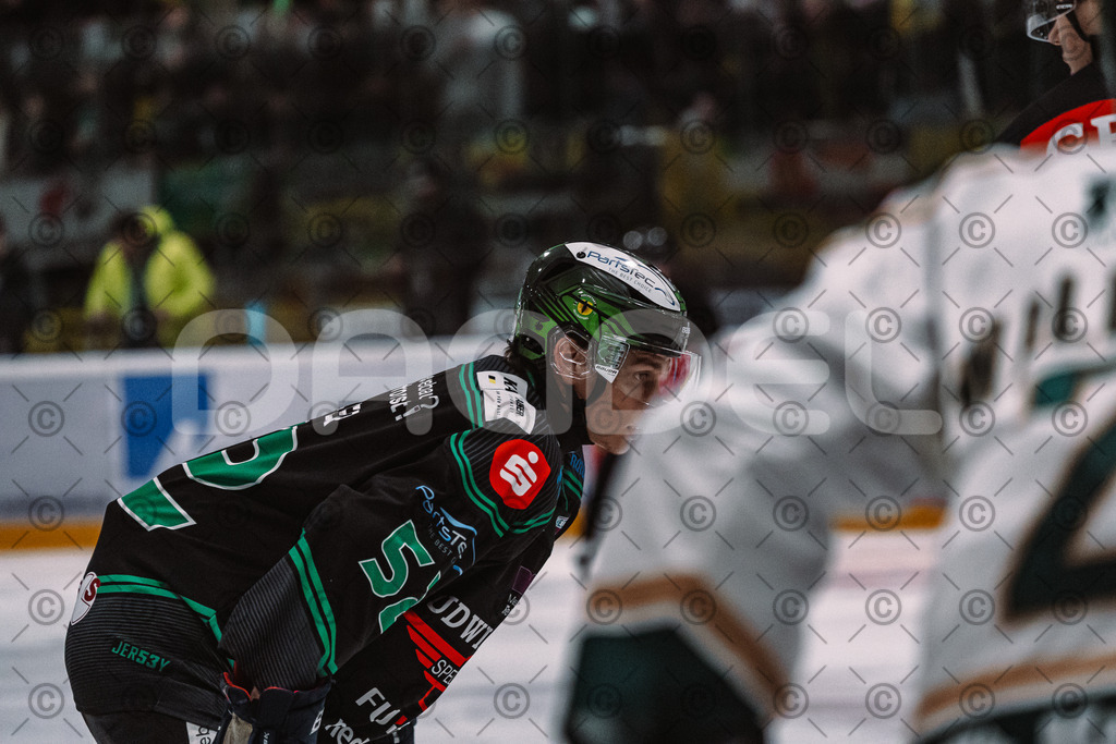 Alligators_vs_Erding_01_02_2026-06 | Höchstadt Alligators Fotogalerie: Eishockey-Action aus Franken. Professionelle Spielfotos, Portraits & Stadionbilder zum Download. Jetzt entdecken! - Realisiert mit Pictrs.com