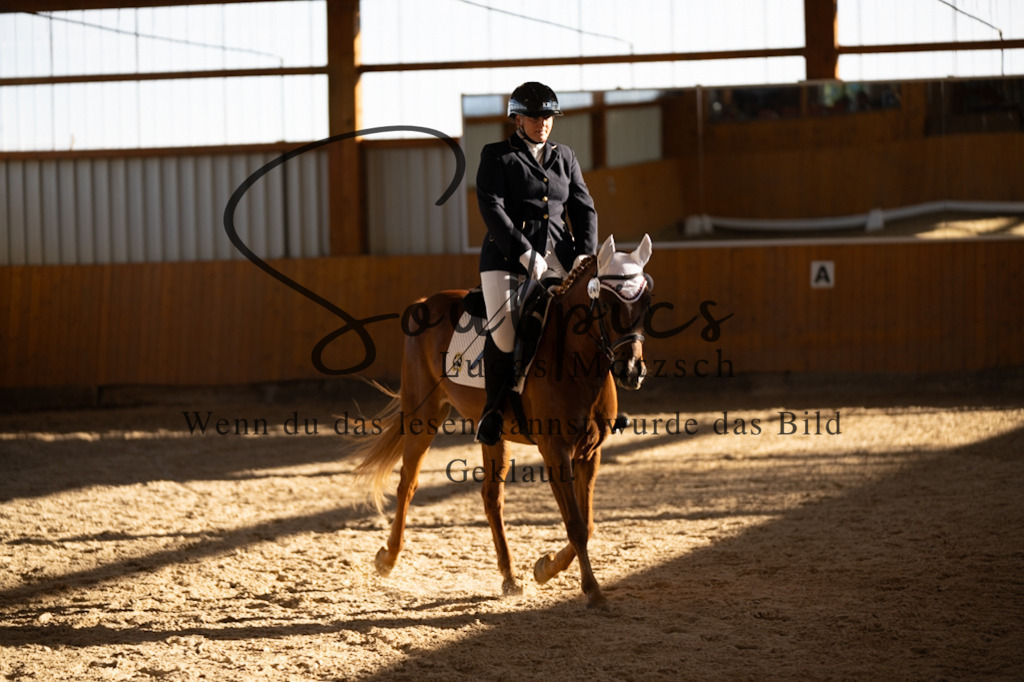 A7V01729 | Turnier/Reitfotograf