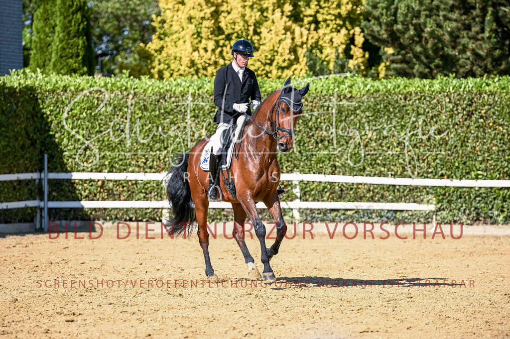 Schugtsche-Aluta25-50.Dressurpferdeprf.L-261 | Schugtsche Fotografie - Realisiert mit Pictrs.com