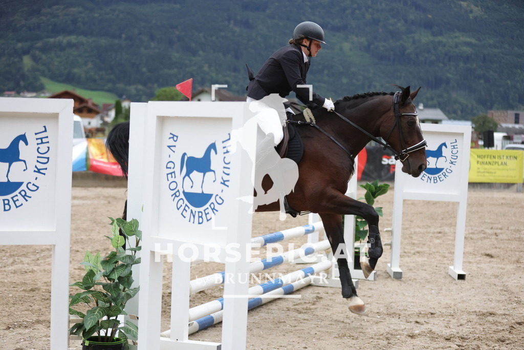 0P6A0405 | Willkommen bei Brunnmayr - Design & Fotografie – Ihrem Spezialisten für Reitturniere und Pferdeveranstaltungen in Oberösterreich, Salzburg und Bayern! Seit über 17 Jahren sind wir leidenschaftlich dabei.