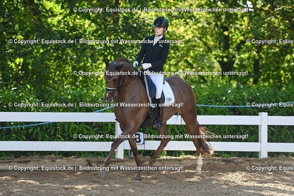 20230715_06_Dressurpferdeprfg. Kl.A_0412 | equistock