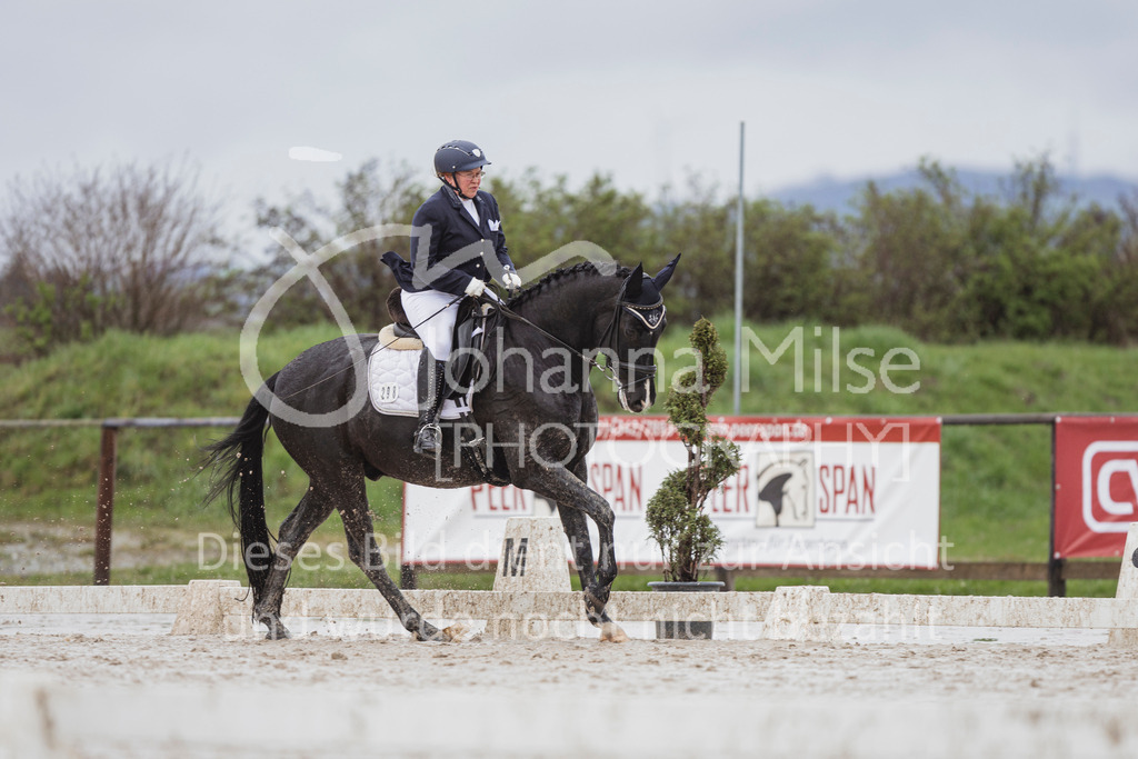 240401_Fruehlingsfest_A1-Dressur-433 | Deine schönsten Turniermomente als professionelle Fotos! Entdecke hochwertige Pferdesport-Fotografie im Online-Shop. Jetzt Fotos finden & bestellen!