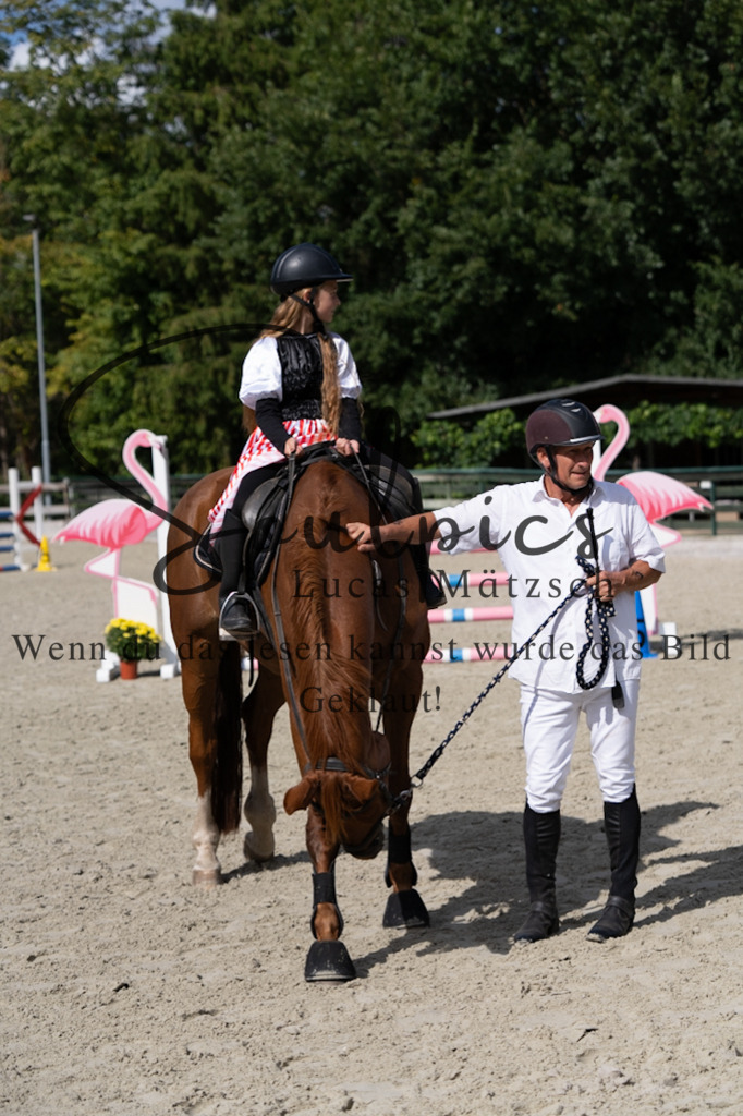 A7V07541 | Pferdefotograf