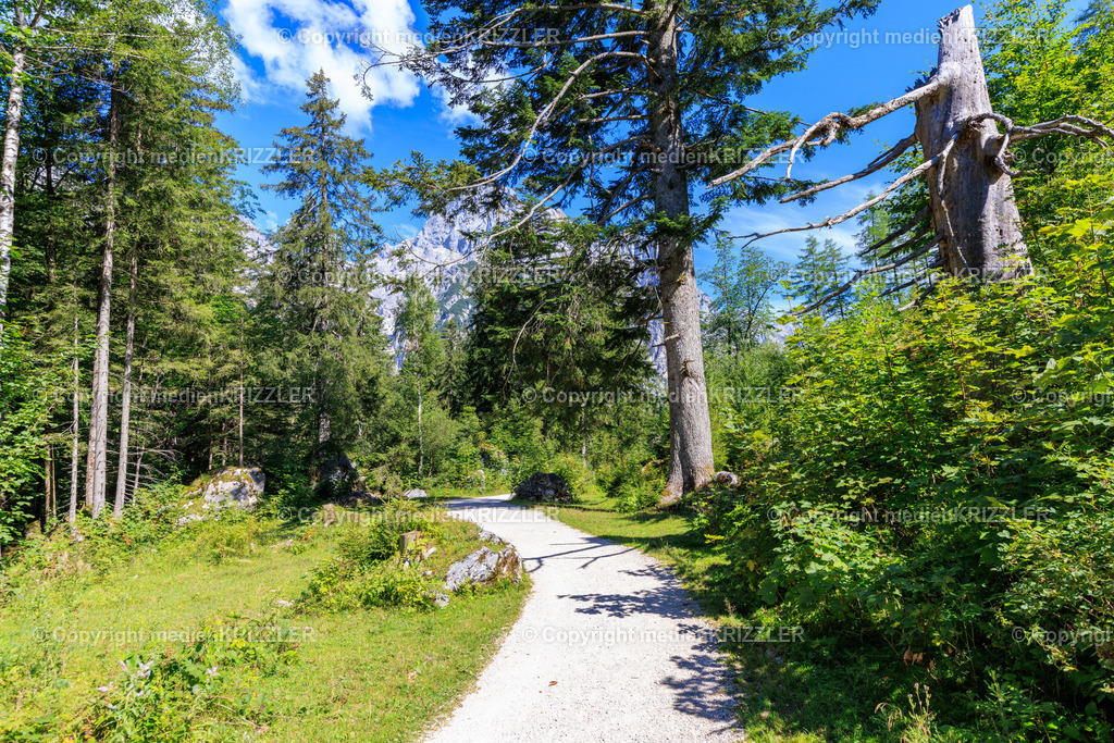 Nationalpark Berchtesgaden | medienkrizzler - Realisiert mit Pictrs.com