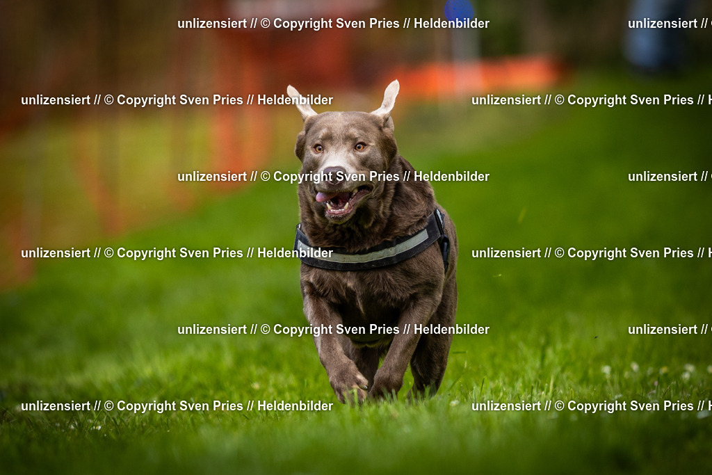 Sven Pries | 2025-04-13 - Hunderennen Baden-Baden - Realisiert mit Pictrs.com