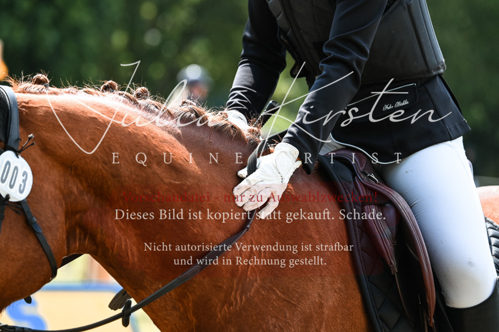 DSC_8853 | Pferde- und Turnierfotografie in Westsachsen. Pferdeportraits, Auftragszeichnungen und intuitive Kunst.
