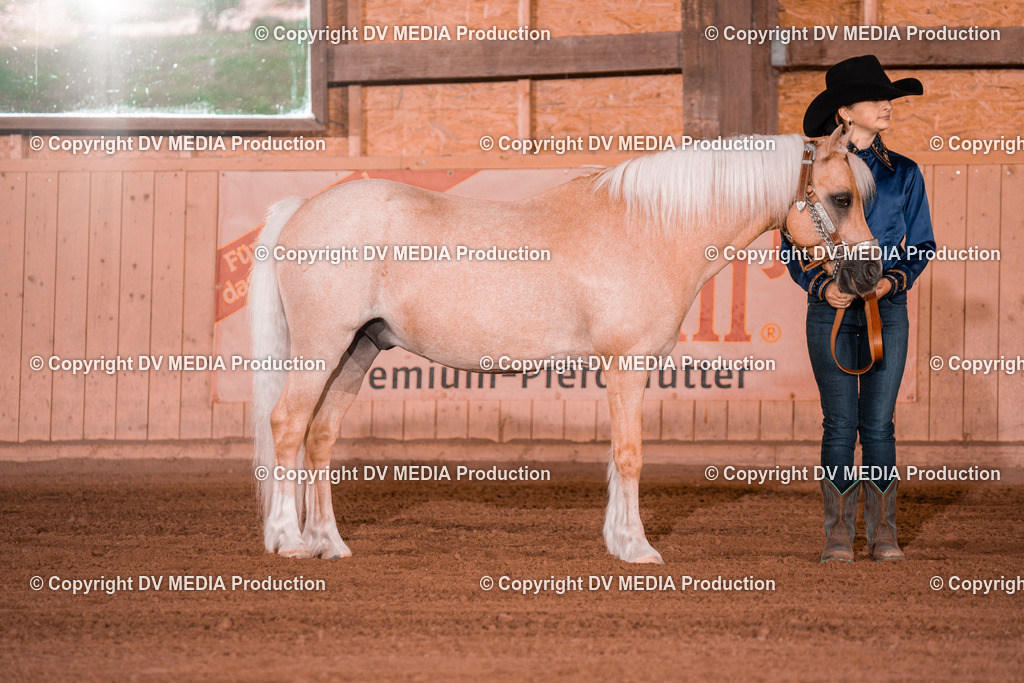 NE201529 | dv-media-shop - Realisiert mit Pictrs.com