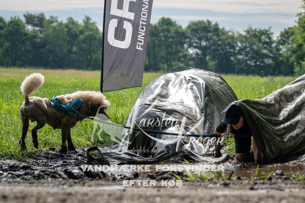 0913_ZZ90401 | kk-dogfotos