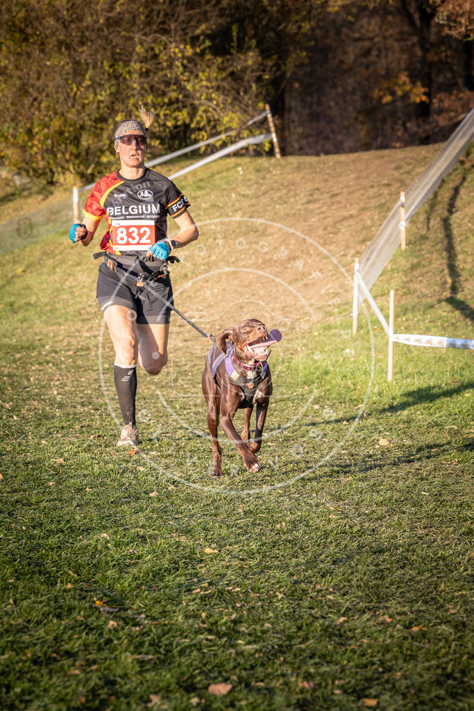 CaniXpix_0L8A0667 | Hundefotografie, Tierfotograf, Pfotenfotografie, Fotoshooting Hund, Hunde Portrait, Hundesport, Hundeportraits, Heideshooting, Hunde, Sportfotograf, Hundefotograf, Turnierhundsport, THS,  - Realisiert mit Pictrs.com