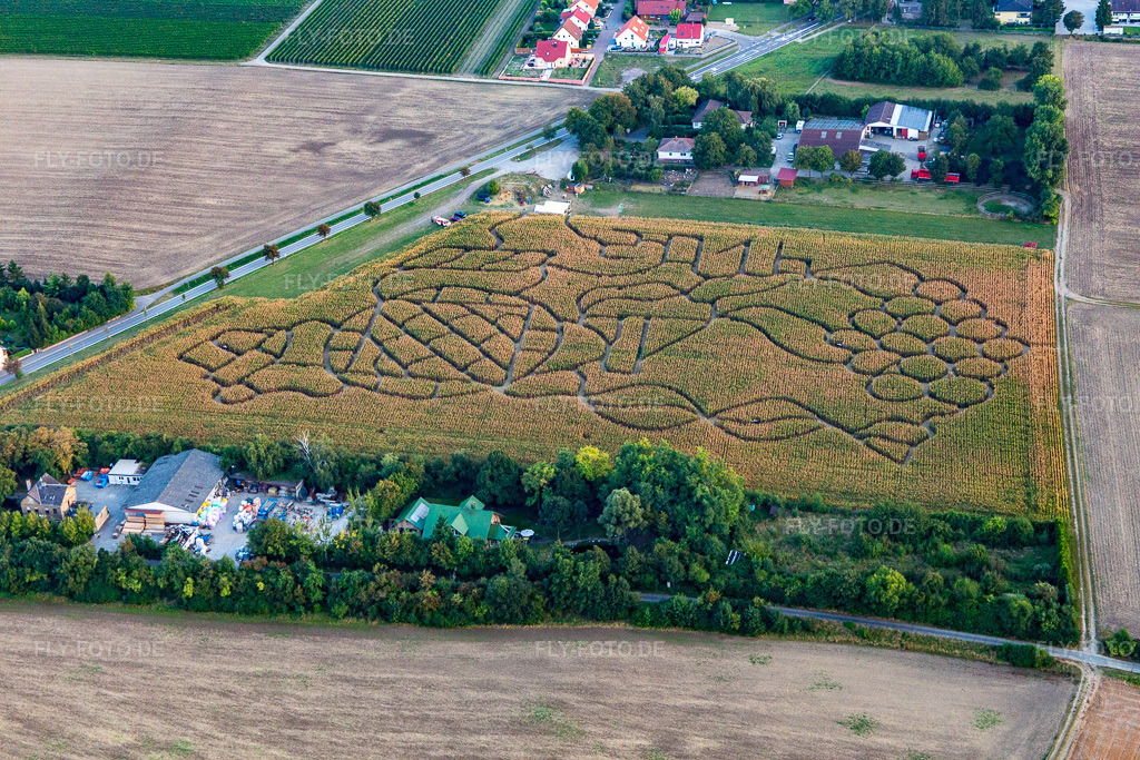 Luftbild: Dalheim, Maislabyrinth in Dalheim im Bundesland Rheinland-Pfalz in Deutschland. Foto: IMG_094740.jpg vom 21.09.2016 durch Werner Riehm/FLY-FOTO.de