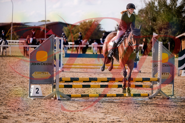 2026_10_03_Siefer-Hof_161021_Z81_89803046 | Professionelle Reitsport-, Turnier- und Eventfotografie von Robert Broda. Galerien mit ausgewählten und bearbeiteten Bildern direkt online ansehen und bestellen.