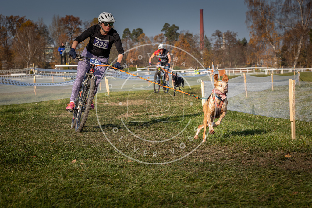CaniXpix_0L8A7575 | Hundefotografie, Tierfotograf, Pfotenfotografie, Fotoshooting Hund, Hunde Portrait, Hundesport, Hundeportraits, Heideshooting, Hunde, Sportfotograf, Hundefotograf, Turnierhundsport, THS,  - Realisiert mit Pictrs.com