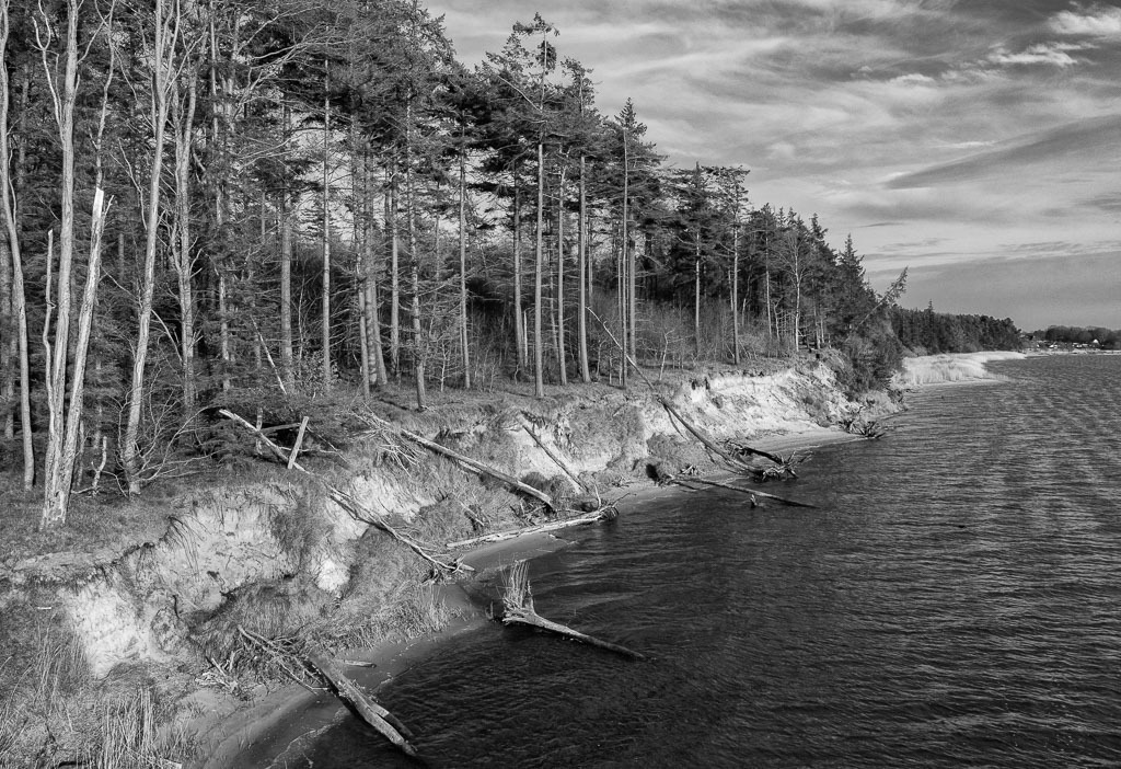 fischer-2020-069-02 | Luftaufnahme der Steilküste zwischen Missunde und Weseby an der Großen Breite der Schlei. Dahinter erstreckt sich ein ausgedehnter Wald. Das Kliff ist durch Erosion gefährdet. - Realisiert mit Pictrs.com
