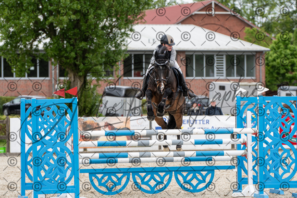 KPT_9934 | andre_photographic