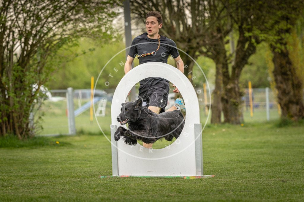 Pfotenfotografie_DV3A1261 | Hundefotografie, Tierfotograf, Pfotenfotografie, Fotoshooting Hund, Hunde Portrait, Hundesport, Hundeportraits, Heideshooting, Hunde, Sportfotograf, Hundefotograf, Turnierhundsport, THS,  - Realisiert mit Pictrs.com