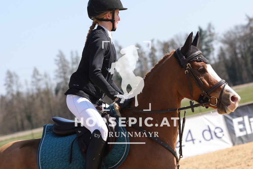 0P6A6613 | Willkommen bei Brunnmayr - Design & Fotografie – Ihrem Spezialisten für Reitturniere und Pferdeveranstaltungen in Oberösterreich, Salzburg und Bayern! Seit über 17 Jahren sind wir leidenschaftlich dabei.