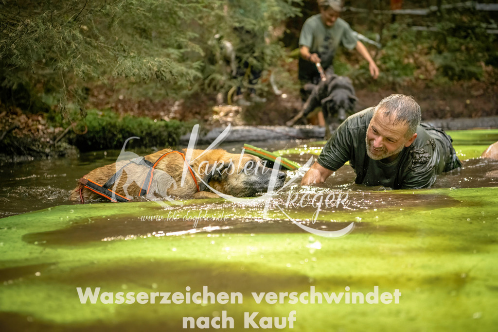 1409_ZZ91189-Bearbeitet | kk-dogfotos