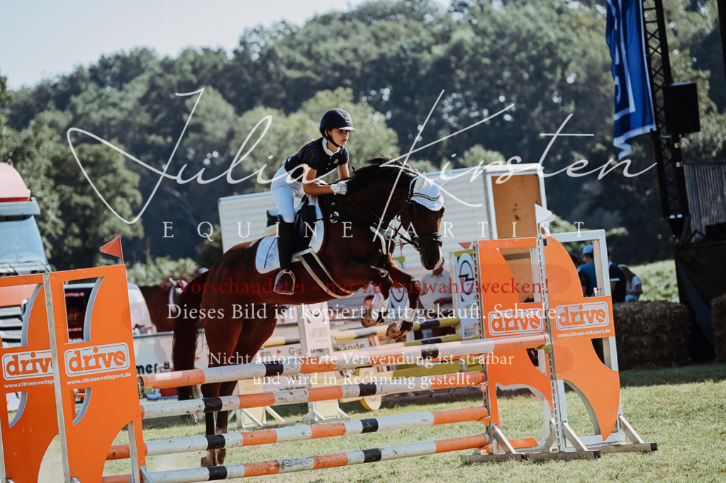 DSC_5853 | Pferde- und Turnierfotografie in Westsachsen. Pferdeportraits, Auftragszeichnungen und intuitive Kunst.