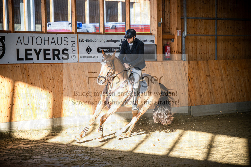 DOS_0211 | Entdecke hochwertige Reitturnierfotos von Foto Oger. Professionell, emotional und authentisch – jetzt Lieblingsmomente im Shop bestellen.Deutschlandweite Turnierfotografie. - Realisiert mit Pictrs.com
