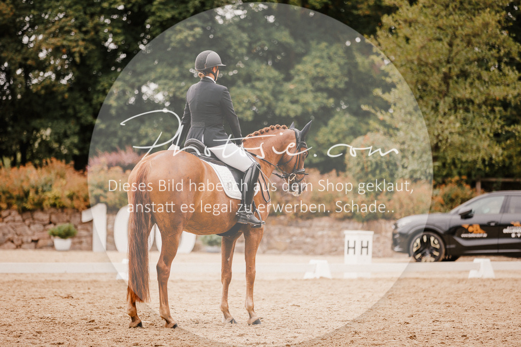 3I6A5896 | Stimmungsvolle Portraits und Reitsportfotografie im Ruhrgebiet und im Münsterland.

Pferdefotografie, Hundefotografie, Tierfotografie, Reportagen, Portraits von Tier und Mensch, Turnierfotografie in Bochum, Recklinghausen, Marl, Haltern am See, Dülmen.. - Realisiert mit Pictrs.com