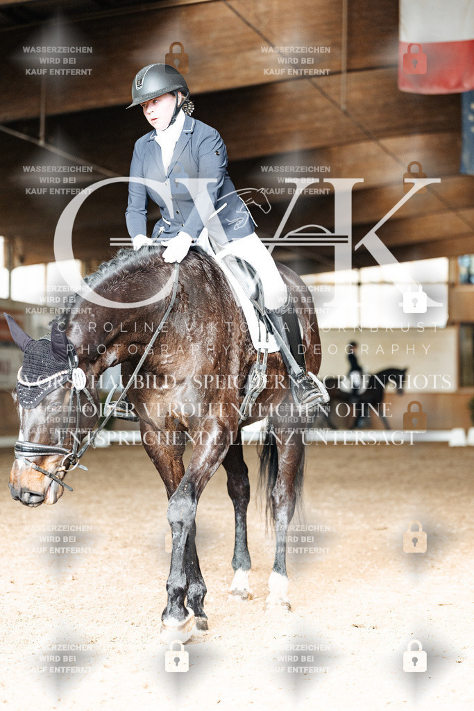 CK902311 | Turnierfotografie Pferdefotografie Trier Rheinland-Pfalz Pferdesport Reitsport Tierfotografie Sportfotografie Pferdevideo Pferdevideografie Equestrianvideography equestrianphotography  - Realisiert mit Pictrs.com