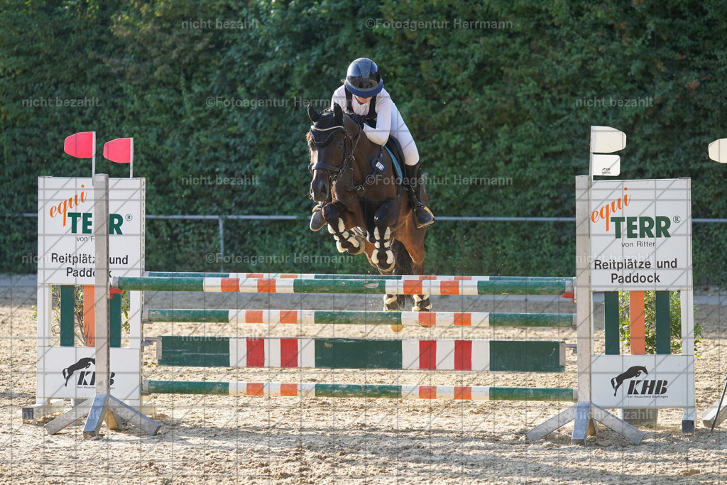 20240824-FAH08756 | Thierhaupten 2024, Bayerisches Landesponyturnier, Turnierbilder, Ponybilder, Turnierfotografen Bayern, Fotoagentur Herrmann